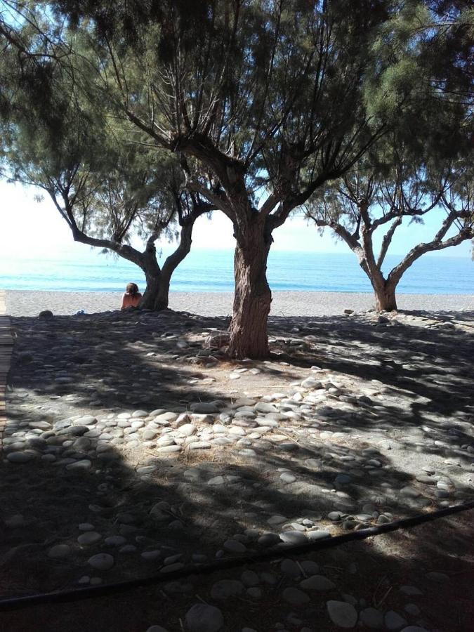 Pericles Traditional Cretan 度假居