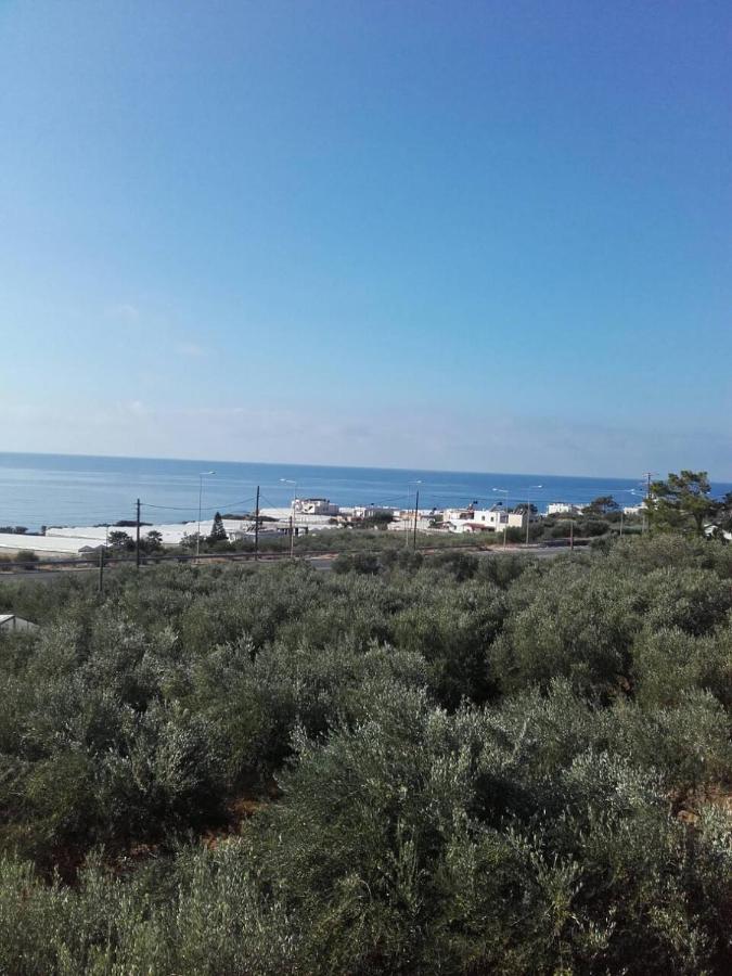 Pericles Traditional Cretan Ferienhaus Stavrokhorion