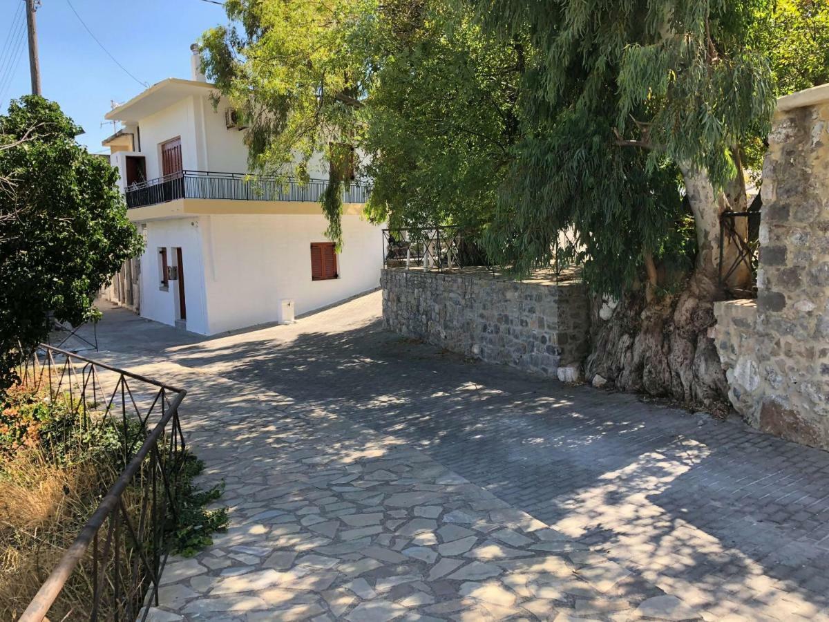 Pericles Traditional Cretan Stavrokhorion